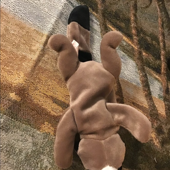 TY beanie Raccoon 🦝 Ringo hang tag in plastic NWT cute brown black . - Picture 6 of 7